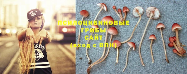 Альфа ПВП Остров