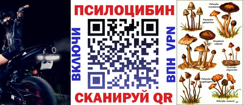 Галлюциногенные грибы мицелий  Берёзовский 